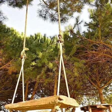 Vakantiehuis Casa Do Lagar *