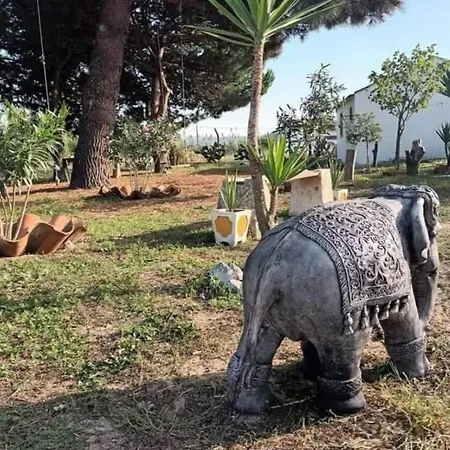 Vakantiehuis Casa Do Lagar *