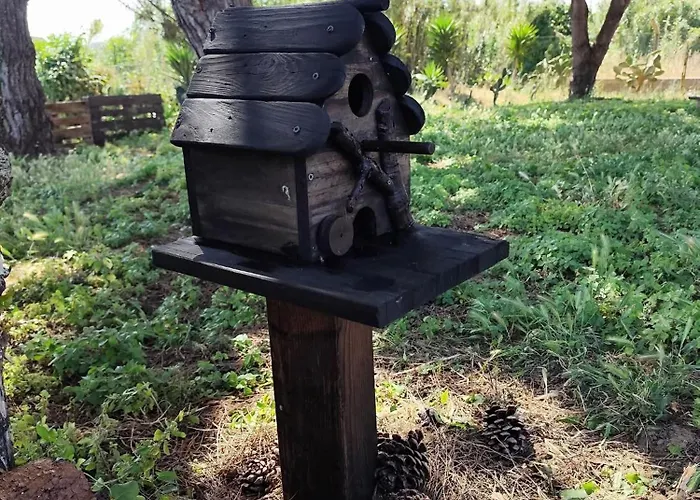 度假居 Casa Do Lagar 奥比多斯